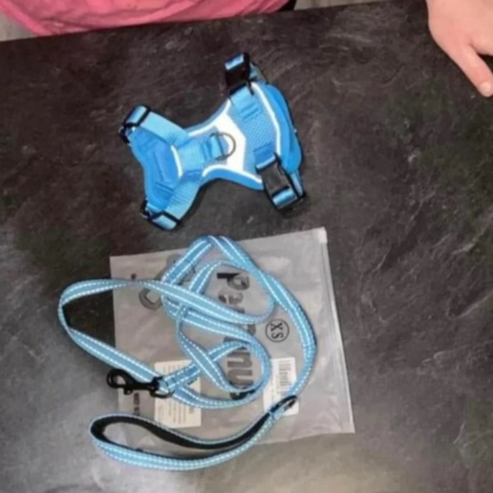 Cat Harness And leash Set